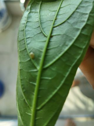 윤무섭님의 자유주제 · 자유게시판 작성글 사진