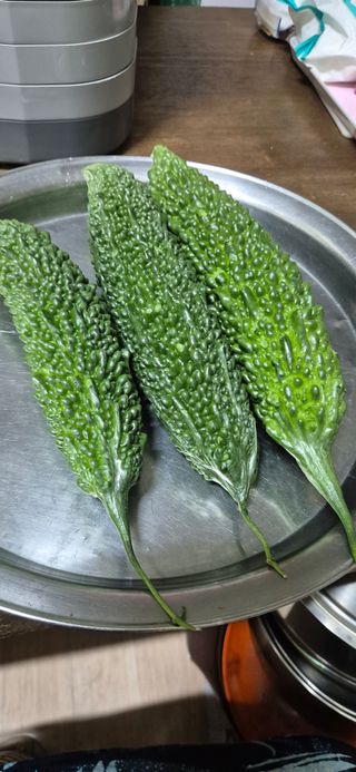 봉림동 태진농장님의 자유주제 · 자유게시판 작성글 사진