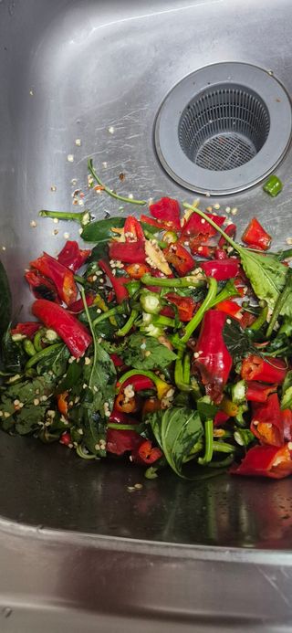 봉림동 태진농장님의 자유주제 · 자유게시판 작성글 사진