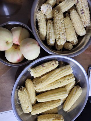 원빈님의 자유주제 · 자유게시판 작성글 사진