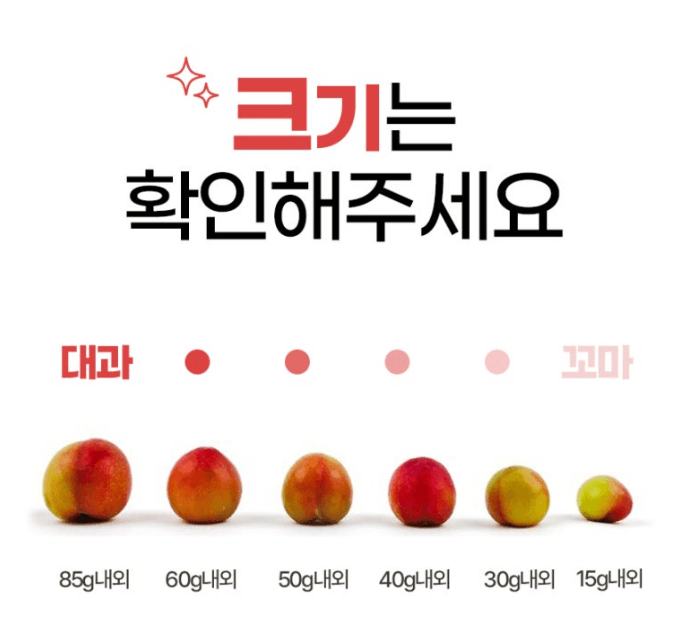 스피드번님의 장터 판매 상품 [추희 자두] 첨부 사진