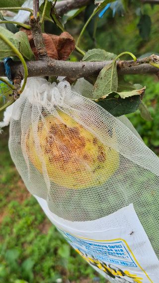 또배워님의 농사, 무엇이든 물어보세요! · 참여글 작성글 사진