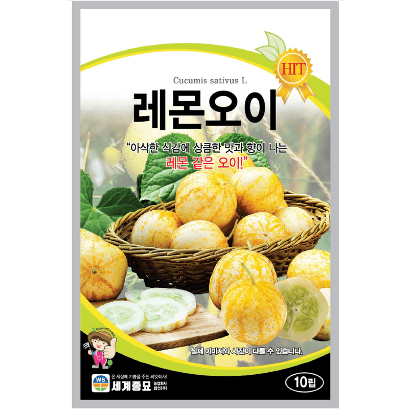 장터 상품 [[세계] 레몬오이 10립 / 희귀이색 종자 / 레몬오이 씨앗] 썸네일