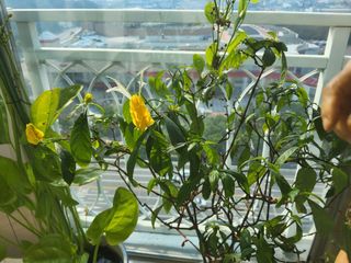 윤무섭님의 자유주제 · 자유게시판 작성글 사진