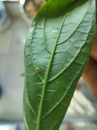 윤무섭님의 자유주제 · 자유게시판 작성글 사진