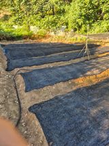 팜모닝 농사, 무엇이든 물어보세요!·참여글 게시글 이미지