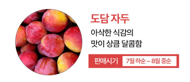 스피드번님의 장터 판매 상품 [추희 자두] 첨부 사진