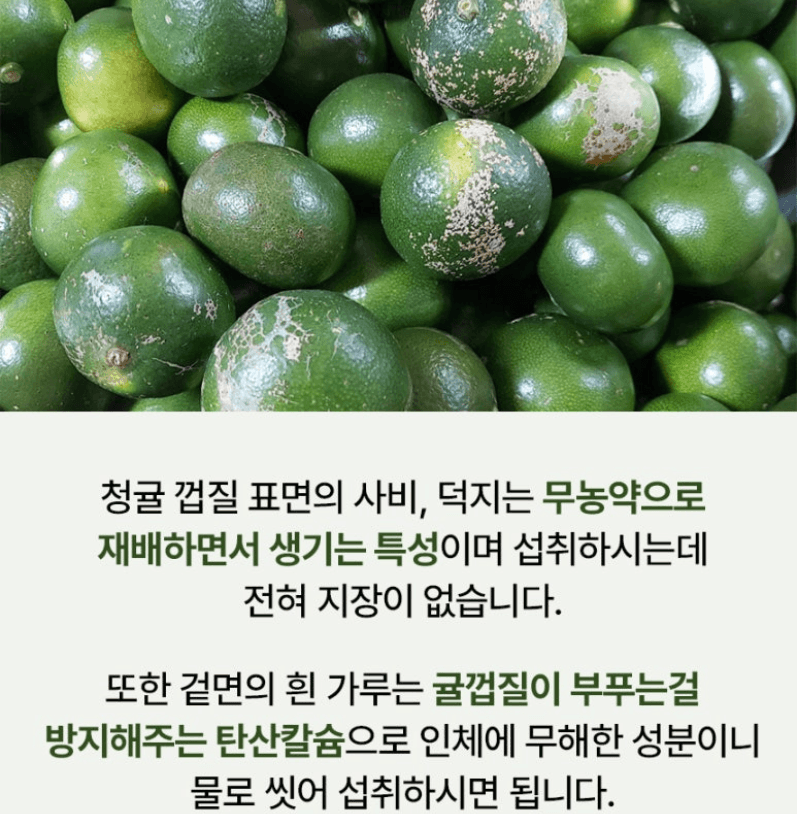 스피드번님의 장터 판매 상품 [제주도 청귤] 첨부 사진