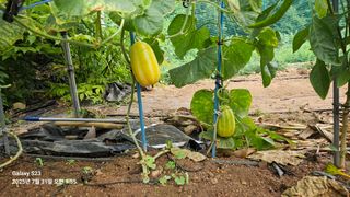 박성춘님의 자유주제 · 자유게시판 작성글 사진