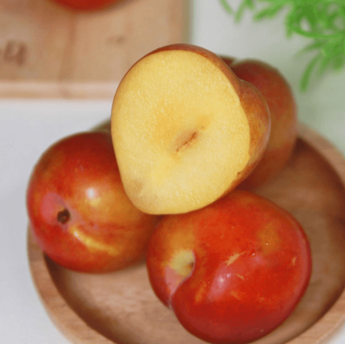 스피드번님의 장터 판매 상품 [추희 자두] 첨부 사진