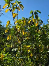 팜모닝 농사, 무엇이든 물어보세요!·참여글 게시글 이미지