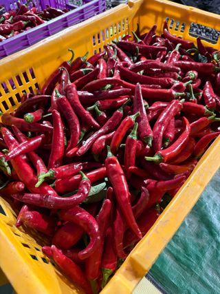 김지환님의 자유주제 · 자유게시판 작성글 사진