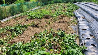 백석현님의 자유주제 · 자유게시판 작성글 사진