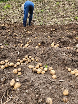 윤미선(농경채인증님의 작성글 사진