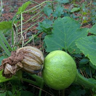 ์์นจ๋์๋์ ํธ๋ฐ ยท ์์ ๊ฒ์ํ ์์ฑ๊ธ ์ฌ์ง