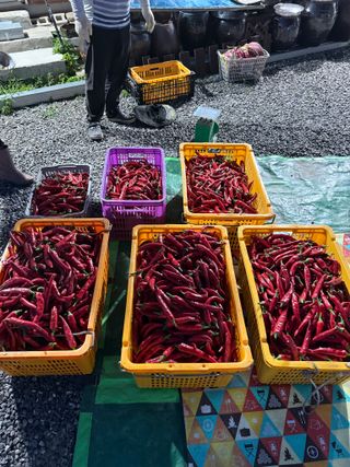 김지환님의 자유주제 · 자유게시판 작성글 사진