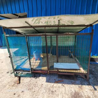 이의도님의 자유주제 · 자유게시판 작성글 사진