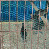 팜모닝 자유주제·자유게시판 게시글 이미지