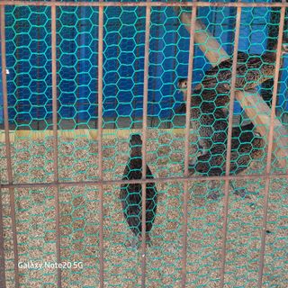 이의도님의 자유주제 · 자유게시판 작성글 사진