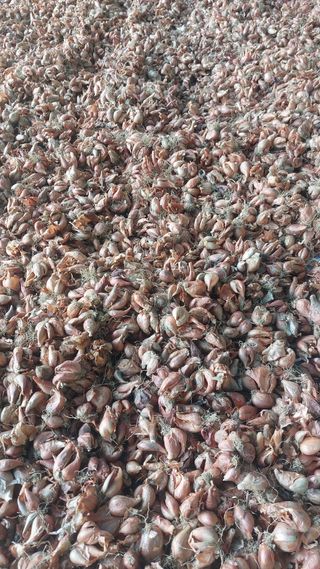 토박이님의 자유주제 · 자유게시판 작성글 사진