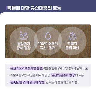 누보농장님의 자유주제 · 자유게시판 작성글 사진