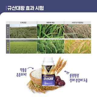 누보농장님의 자유주제 · 자유게시판 작성글 사진