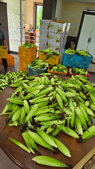 인제 돈키호테님의 작성글 사진