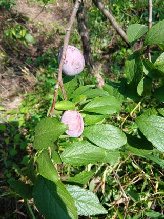 수박1번지님의 자유주제 · 자유게시판 작성글 사진