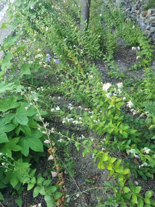 김용대님의 자유주제 · 자유게시판 작성글 사진