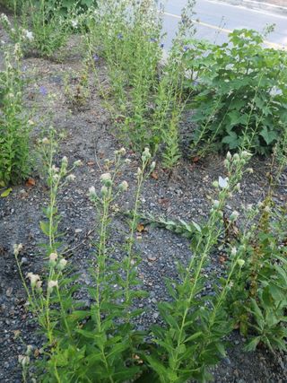 김용대님의 자유주제 · 자유게시판 작성글 사진