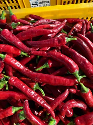 김지환님의 자유주제 · 자유게시판 작성글 사진