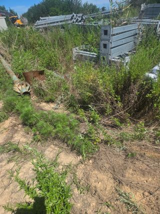 자연인님의 자유주제 · 자유게시판 작성글 사진