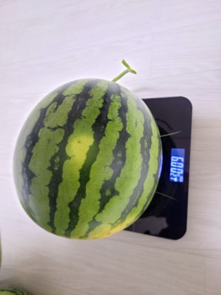 원빈님의 자유주제 · 자유게시판 작성글 사진