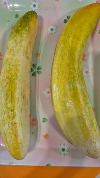 또배워님의 농사, 무엇이든 물어보세요! · 참여글 작성글 사진