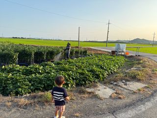 김지환님의 자유주제 · 자유게시판 작성글 사진