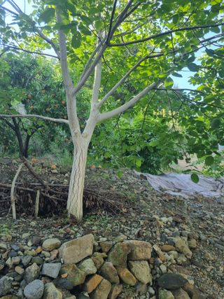 김용대님의 자유주제 · 자유게시판 작성글 사진