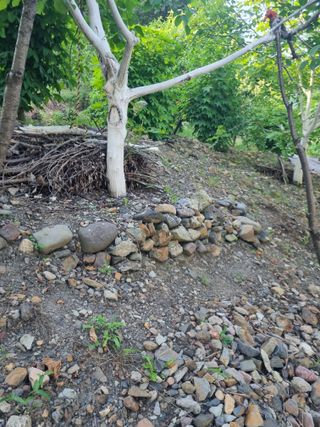 김용대님의 자유주제 · 자유게시판 작성글 사진