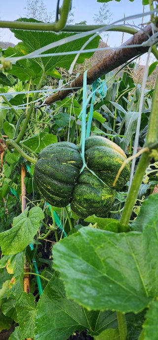 안뜰그랑님의 자유주제 · 자유게시판 작성글 사진