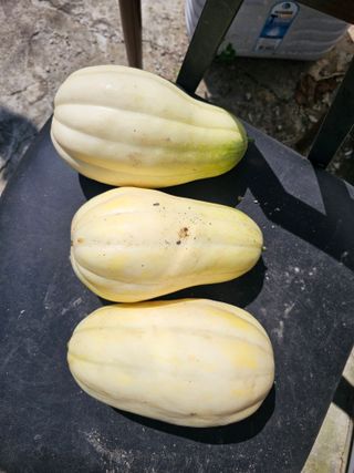 김두영님의 자유주제 · 자유게시판 작성글 사진