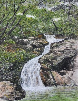 오종근님의 자유주제 · 자유게시판 작성글 사진