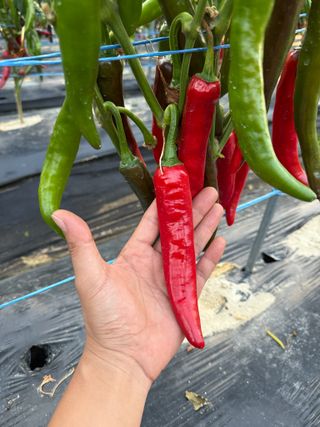 김지환님의 자유주제 · 자유게시판 작성글 사진