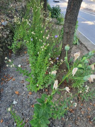 김용대님의 자유주제 · 자유게시판 작성글 사진