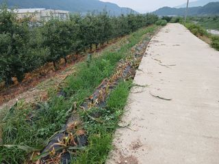 알 수 없음님의 자유주제 · 자유게시판 작성글 사진