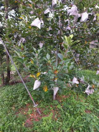 심무재 님의 자유주제 · 자유게시판 작성글 사진