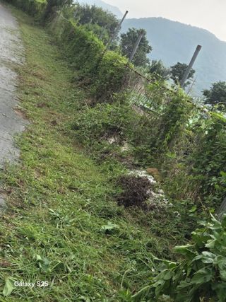 이세순님의 자유주제 · 자유게시판 작성글 사진