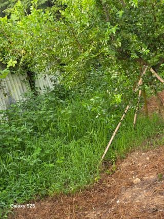 이세순님의 자유주제 · 자유게시판 작성글 사진