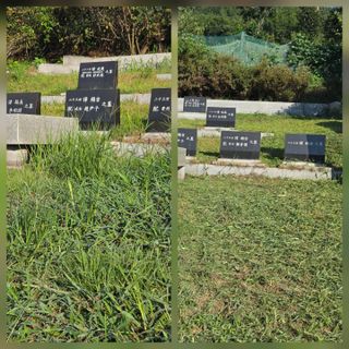 이세순님의 자유주제 · 자유게시판 작성글 사진