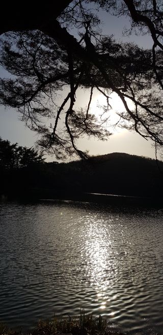 김상진님의 자유주제 · 자유게시판 작성글 사진