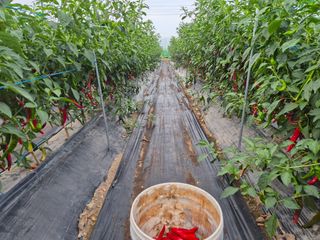 사천시향촌동 돼지띠님의 자유주제 · 자유게시판 작성글 사진