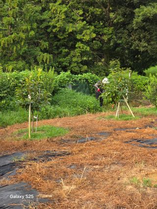 이세순님의 자유주제 · 자유게시판 작성글 사진